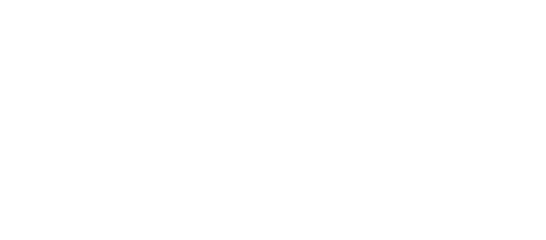 flipkart